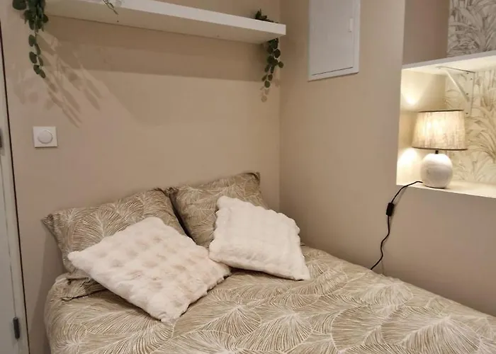 Studio Appart'Hotel Apartment Thiers